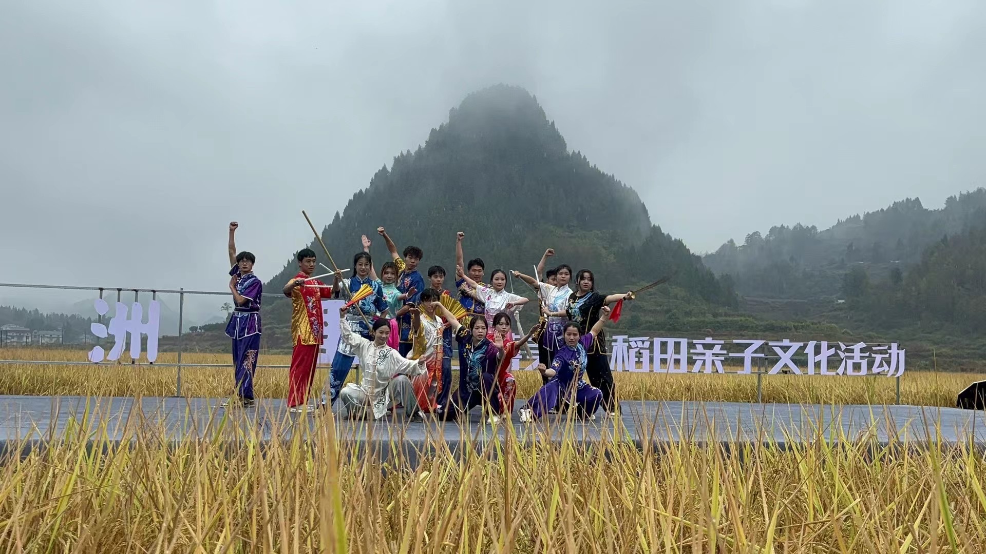 MK体育官网