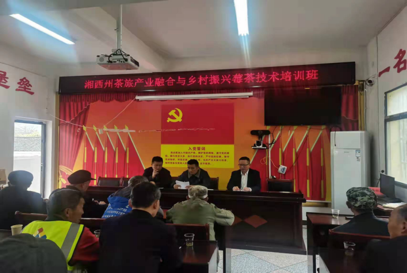 MK体育官网